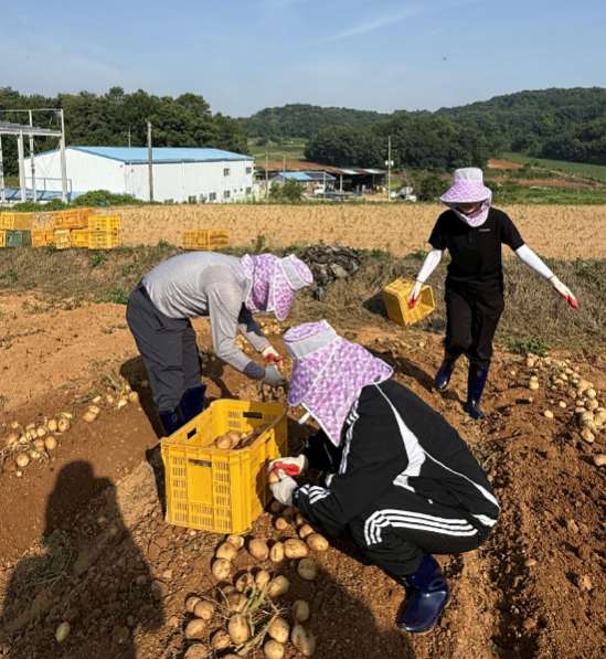 당진도시공사, 농촌일손돕기로 농가에 힘 보태(1)